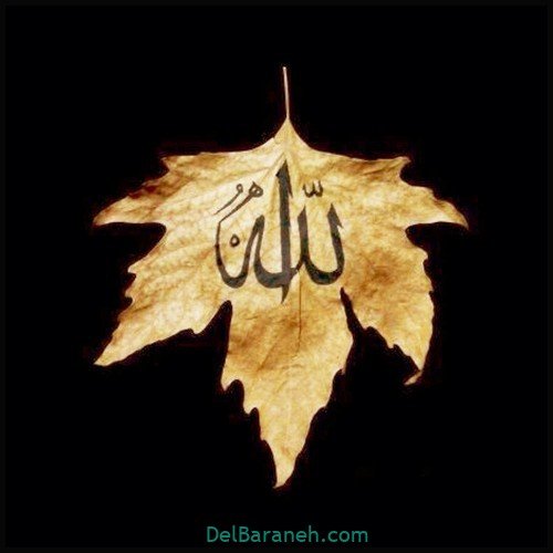 50 عکس پروفایل الله