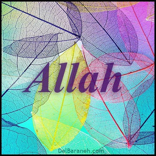 عکس الله برای پروفایل واتساپ
