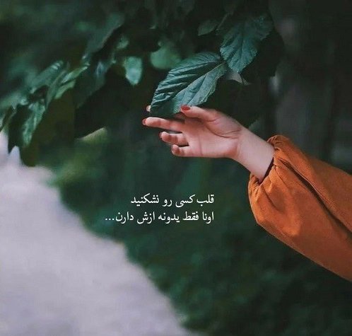 عکس ها برای پروفایل