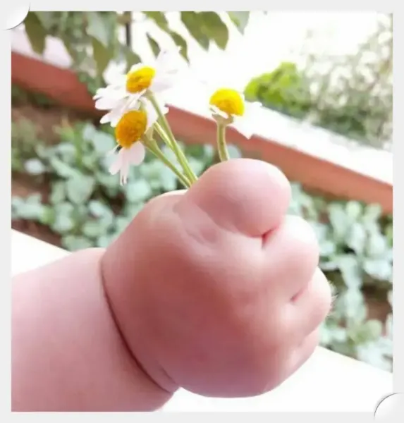  عکس پروفایل بچه گانه بامزه