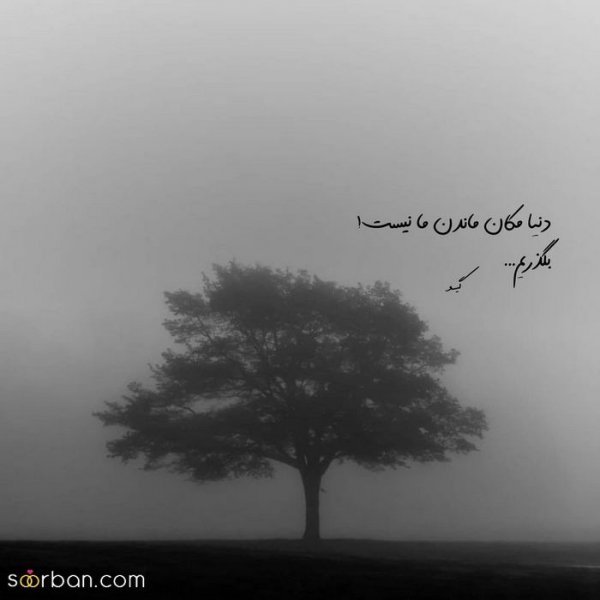  عکس پروفایل