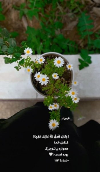  عکس پروفایل تیکه دار خدایی