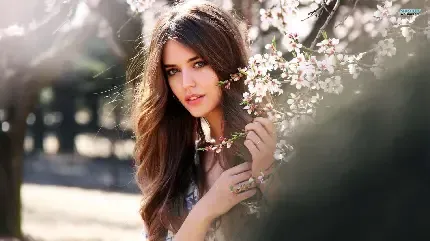  215 عکس پروفایل تلگرام دخترانه