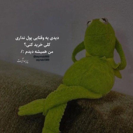 عکس دلار خفن