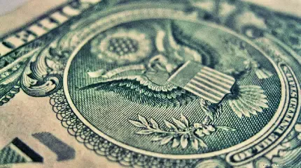 عکس دلار برای پس زمینه کامپیوتر