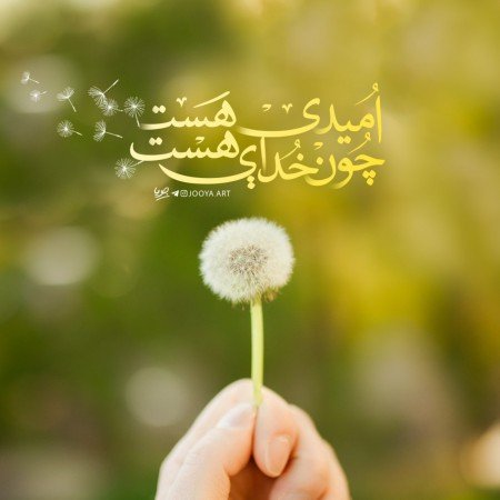  زیباترین عکس اسم خدا