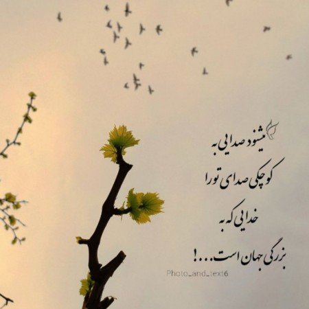  زیباترین عکس اسم خدا