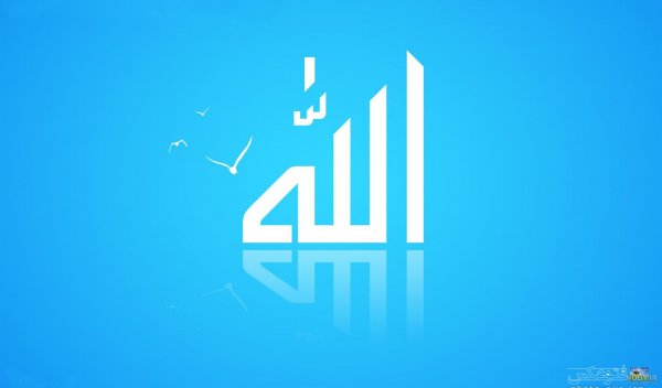  عکس الله در قلب ابی