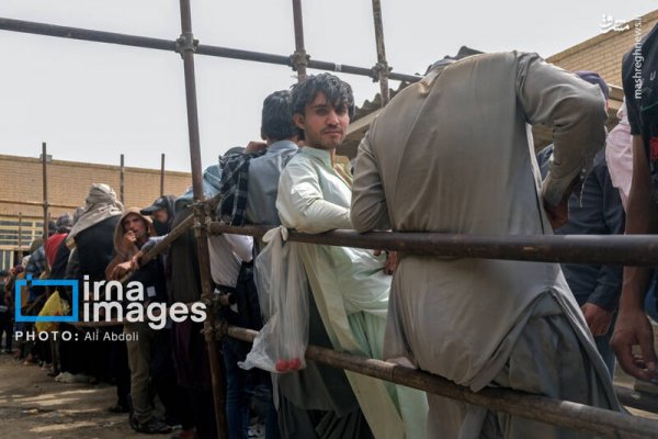  عکس افغانی ها