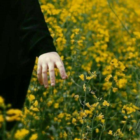  عکس دختر با حجاب عروسکی