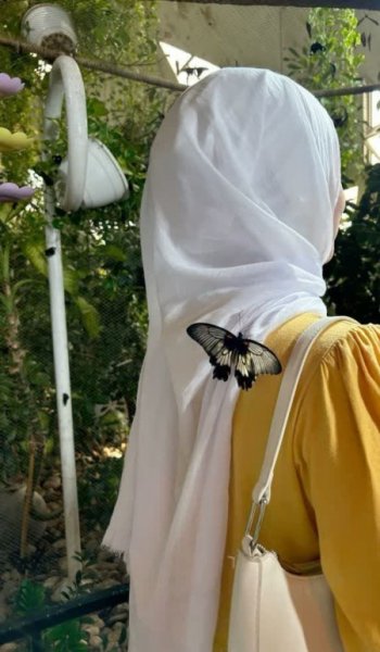 عکس دختر با حجاب عروسکی