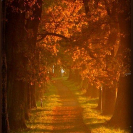  عکس پاییز