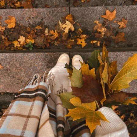  عکس پاییز