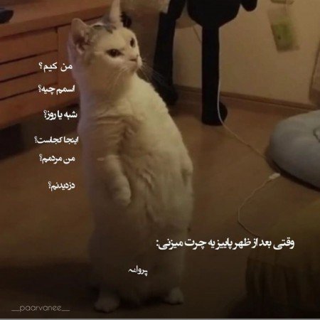  عکس پاییز واقعی