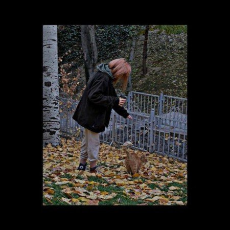  عکس پاییز واقعی