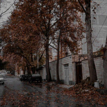  عکس پاییز واقعی
