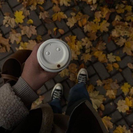  عکس پاییز و زمستان