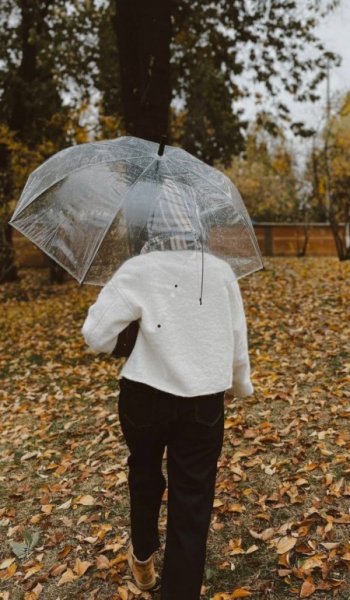  عکس پاییز طبیعی