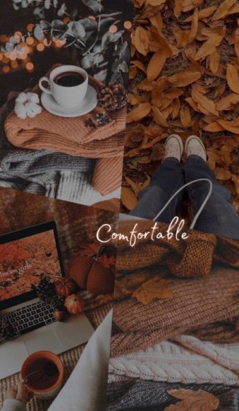  عکس پاییز برای تصویر زمینه