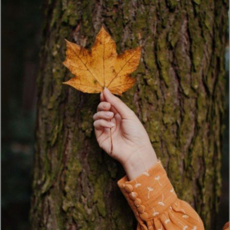  عکس پاییز برای تصویر زمینه