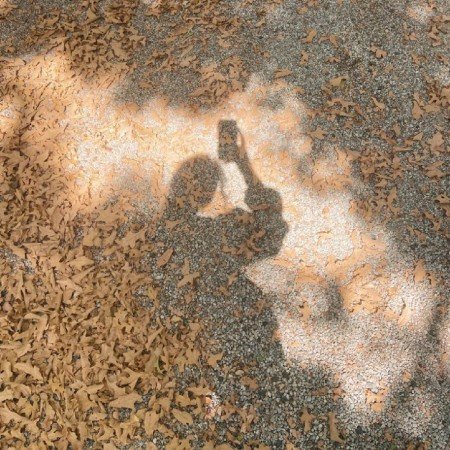  عکس پاییز برای تصویر زمینه