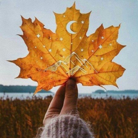  عکس پاییز برای تصویر زمینه