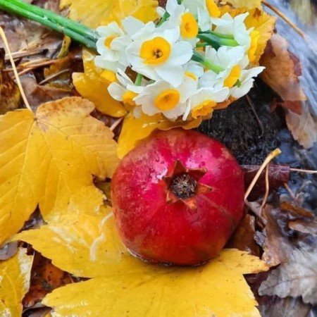  عکس پاییز برای تصویر زمینه