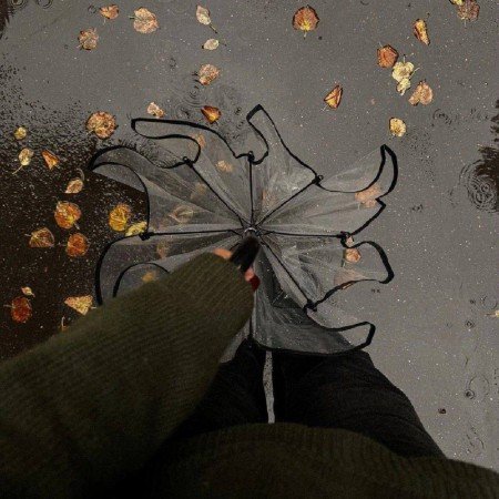  عکس برگ پاییزی برای پروفایل