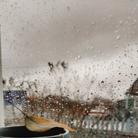  عکس پرو فایل پاییز واقعی