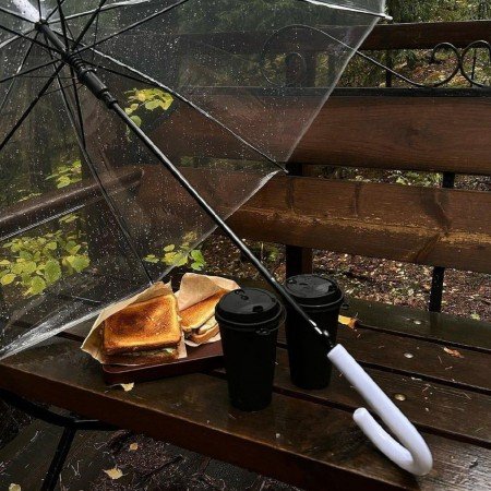  عکس پرو فایل پاییز واقعی
