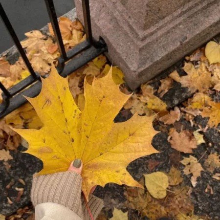  عکس پرو فایل پاییز واقعی
