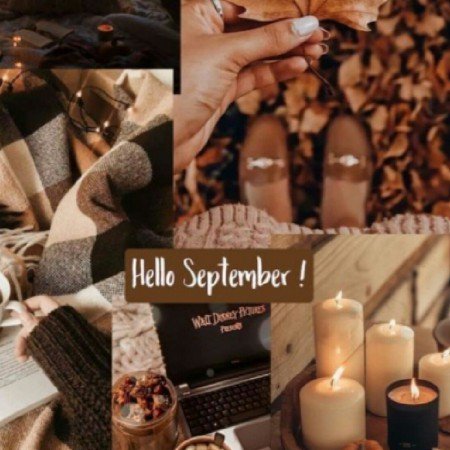  254 عکس پاییز برای تصویر زمینه