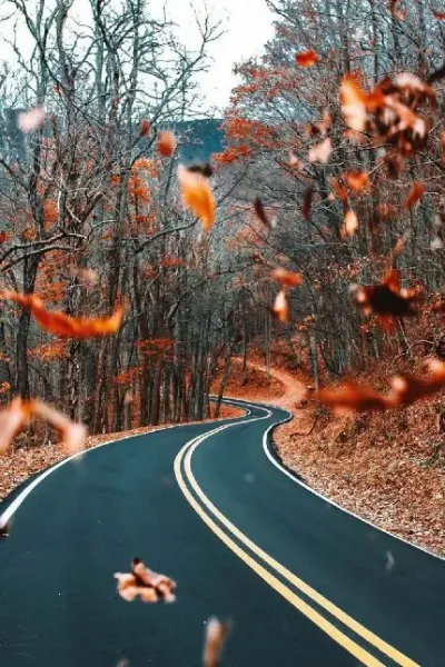  عکس پاییزی غمگین
