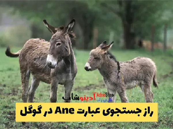  عکس های قدیمی خودم