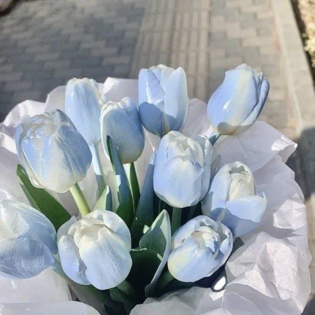  عکس گل طبیعی