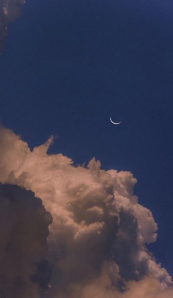  عکس گل عشق برای پروفایل