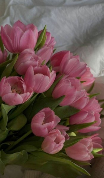  عکس گل عشق برای پروفایل