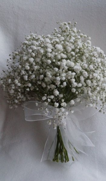  عکس گل برای پروفایل شاد