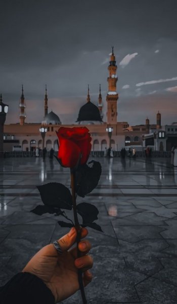  عکس گل عشق