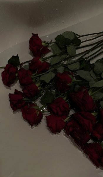  عکس گل عشق
