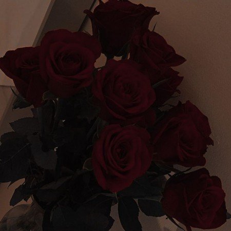  254 عکس گل برای پروفایل شاد