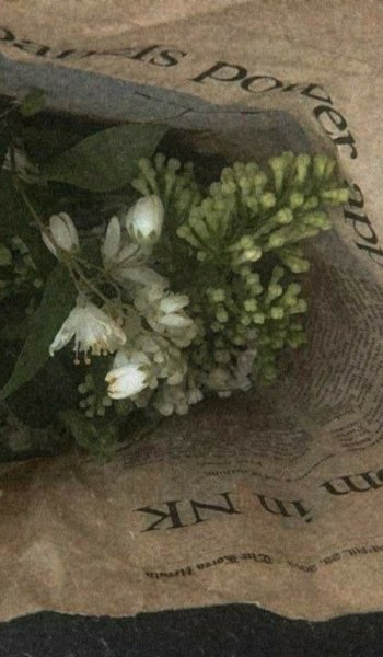  254 عکس گل برای پروفایل شاد