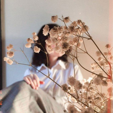  عکس گل عشق برای تصویر زمینه