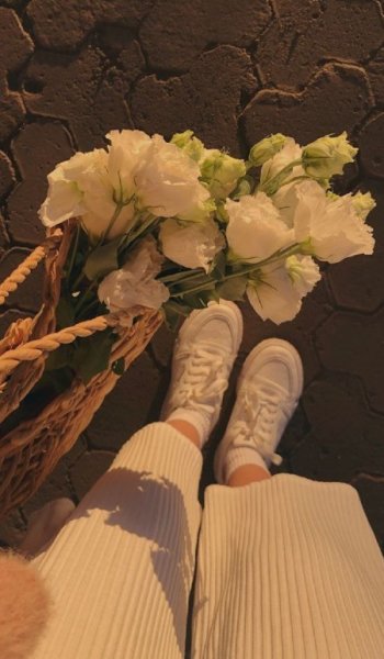  عکس گل عشق برای تصویر زمینه
