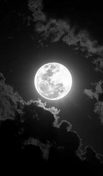  عکس ماه در شب واقعی