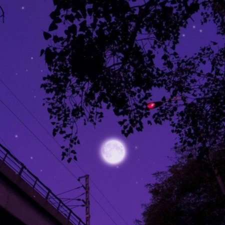  عکس ماه در شب واقعی