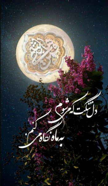  عکس امام حسین در کربلا