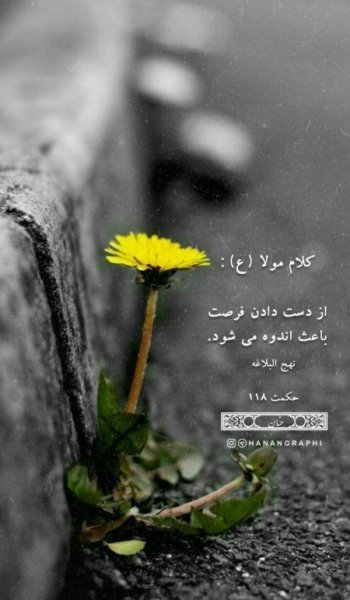  عکس امام علی