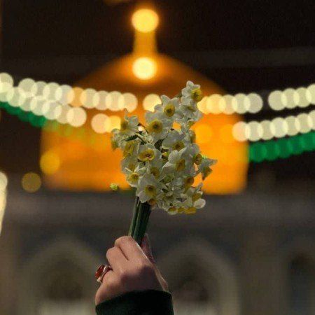  عکس امام رضا