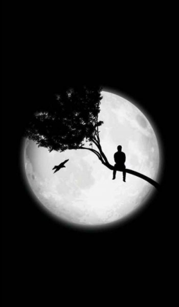  عکس برای هایلایت اینستا